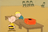 youre not elected charlie brown GIF by Peanuts