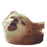 Scream Sticker by imoji