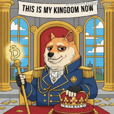 In Charge Mood GIF by Doge Pound