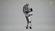Brain Games Tiffanyhaddish GIF by National Geographic Channel