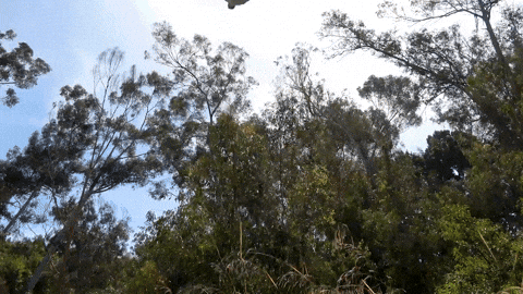 Rocco Botte Falling GIF by Mega64