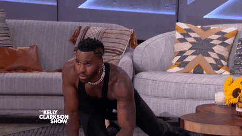 KellyClarksonShow giphyupload cat cats kitty GIF