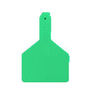 Pig Goat Sticker by datamarslivestock