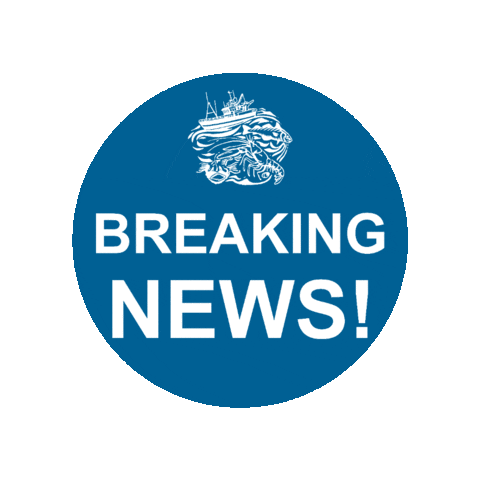 AmityFishCo giphyupload amity amityfishcompany amity fish co Sticker