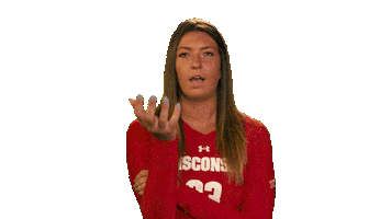 Wisconsin Volleyball No Sticker by Wisconsin Badgers