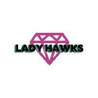 Cheerleading Sticker by CA Flyers