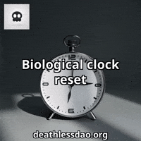 Sarcastic Time GIF by deathlessdao