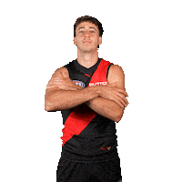 Football Sport Sticker by Essendon FC