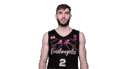 Sport Basketball Sticker by BC Athletic