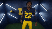 Go Blue College Football GIF by Michigan Athletics