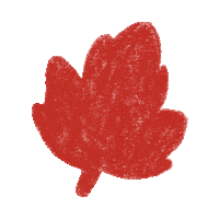 Illustration Flower Sticker