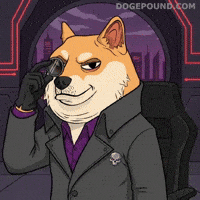 Watching Shiba Inu GIF by Doge Pound