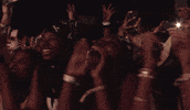 Beyonce Fans GIF