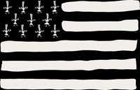 alaisebreizh bretagne bzh breton breizh GIF