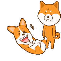 Corgi Shiba Sticker