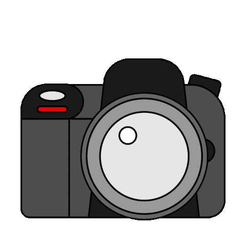 cromafoto giphyupload flash camara dsrl Sticker