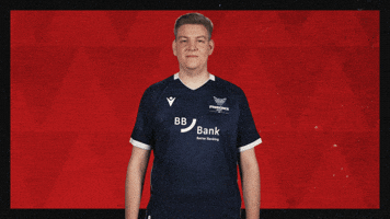 Karlsruher Sc Football GIF by Bundesliga