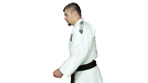 Fight Swipe Up Sticker by Czech judo