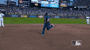 Tampa Bay Rays Sport GIF by MLB