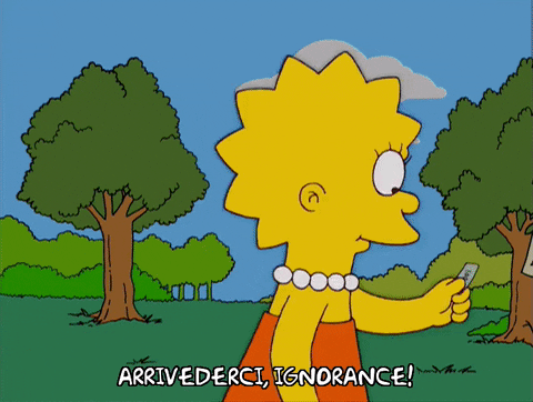 homer simpson GIF