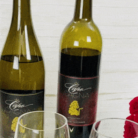 LeahVanDale wine drinks date roses GIF