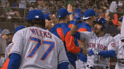High Five Ny Mets GIF by New York Mets