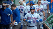Home Run Celebration GIF by SNY