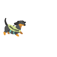 Jetski Pwc Sticker by Sea-Doo