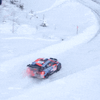 Rallying Rally Sweden GIF by FIA World Rally Championship