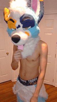Furries GIF