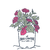 Flowers Blooming Sticker by The Tree Center
