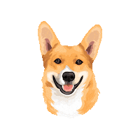 Barnabuspp Sticker by Pickle's Pawtraits