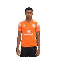 Liga Dominicana Soccer Sticker by Cibao FC