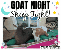 Tired Good Night GIF by Goatta Be Me Goats! Adventures of Java, Toffee, Pumpkin and Cookie!