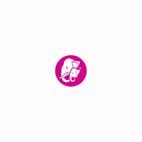 ElephantAttaofficial pink cooking sunshine sunny GIF