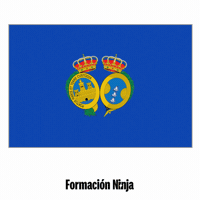 Flag Pixel Art GIF by Formación Ninja
