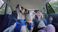 Sing-Along!