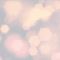 dayarealestate real estate ottawa daya real estate shamir daya GIF