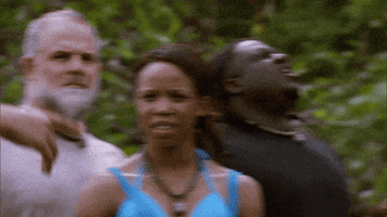 mad fox tv GIF by Kicking & Screaming
