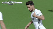 portland timbers soccer GIF by Timbers