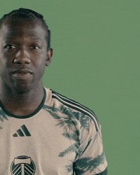 Mls Portland GIF by Timbers