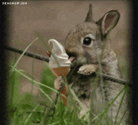 pleasure GIF