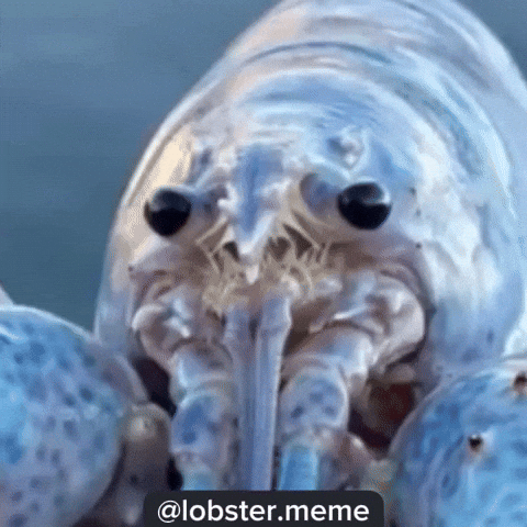 Symmetry Sym GIF