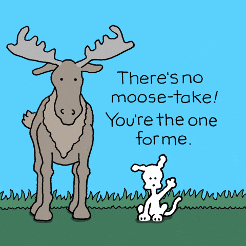 I Love You Dogs GIF by Chippy the Dog