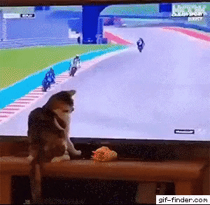 GIF-ClubNET giphyupload GIF