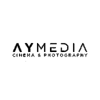Logo Wedding Sticker by Aymedia