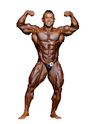 Jay Cutler Wow Sticker by Gaspari Nutrition