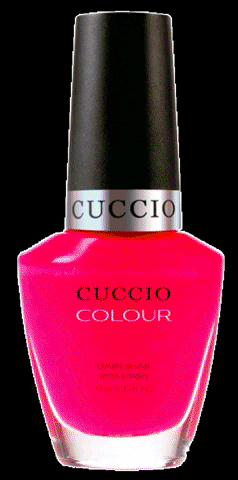 cuccioprobrasil giphygifmaker cuccio GIF