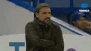 Football Sport GIF by MolaTV