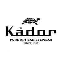 kadoreyewear turtle tartaruga italianeyewear kador GIF